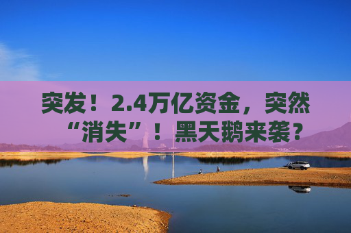 突发！2.4万亿资金，突然“消失”！黑天鹅来袭？