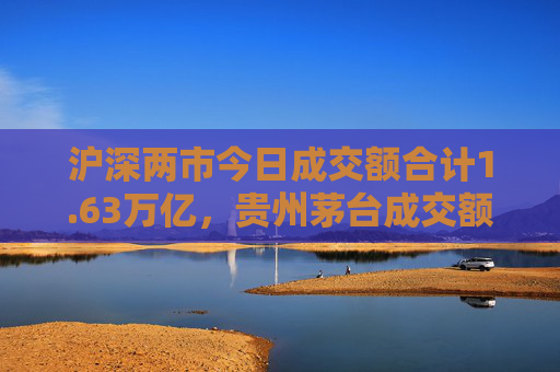 沪深两市今日成交额合计1.63万亿，贵州茅台成交额居首