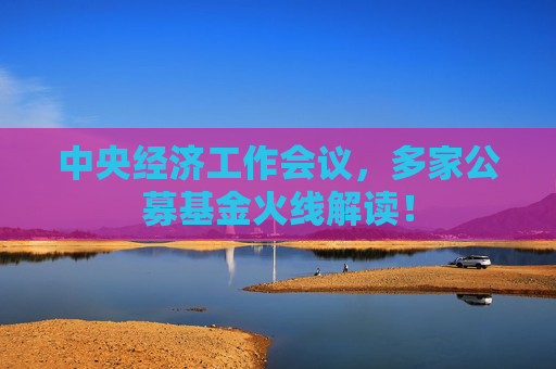 中央经济工作会议，多家公募基金火线解读！