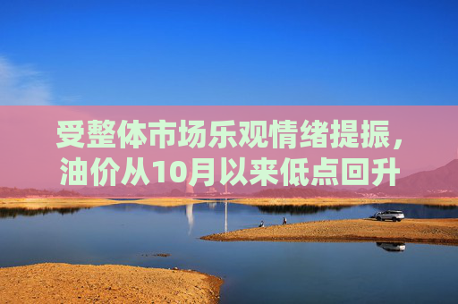 受整体市场乐观情绪提振，油价从10月以来低点回升