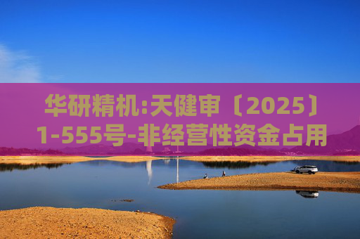 华研精机:天健审〔2025〕1-555号-非经营性资金占用及其他关联资金往来情况的专项审计说明  第1张