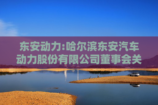 东安动力:哈尔滨东安汽车动力股份有限公司董事会关于独立董事独立性情况的评估报告