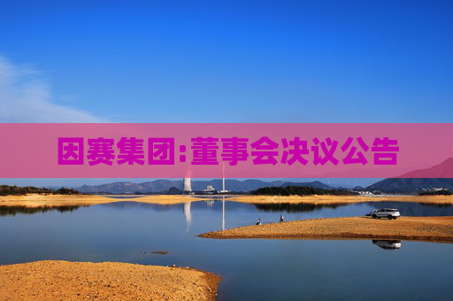 因赛集团:董事会决议公告