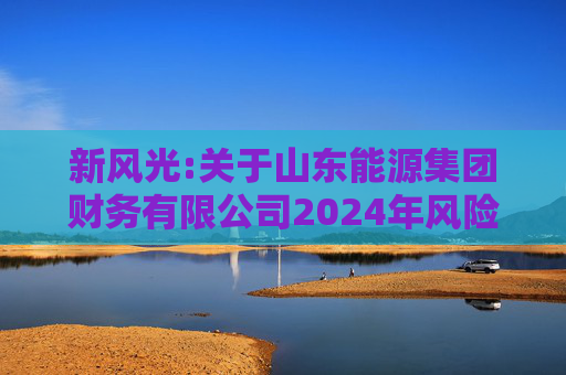 新风光:关于山东能源集团财务有限公司2024年风险评估报告