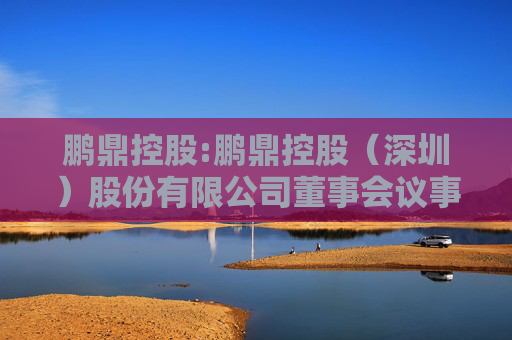 鹏鼎控股:鹏鼎控股（深圳）股份有限公司董事会议事规则（2025年4月）
