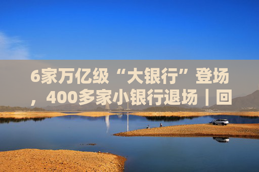 6家万亿级“大银行”登场，400多家小银行退场｜回望2025