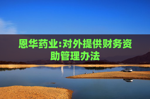 恩华药业:对外提供财务资助管理办法