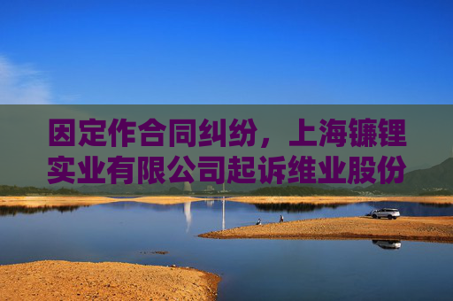 因定作合同纠纷，上海镰锂实业有限公司起诉维业股份等  第1张