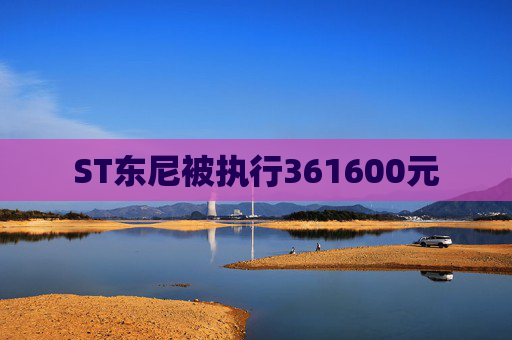 ST东尼被执行361600元