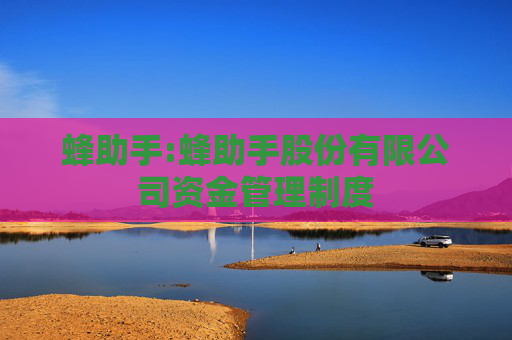 蜂助手:蜂助手股份有限公司资金管理制度