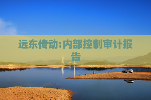 远东传动:内部控制审计报告  第1张