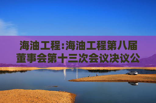 海油工程:海油工程第八届董事会第十三次会议决议公告