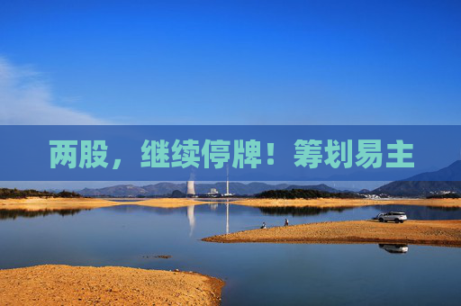 两股，继续停牌！筹划易主