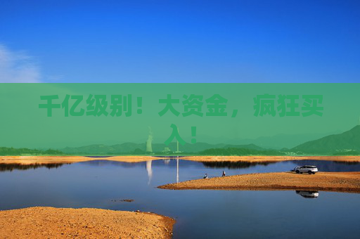 千亿级别！大资金，疯狂买入！