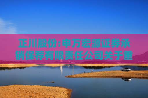 正川股份:申万宏源证券承销保荐有限责任公司关于重庆正川医药包装材料股份有限公司2024年度募集资金存放与使用情况的专项核查报告  第1张