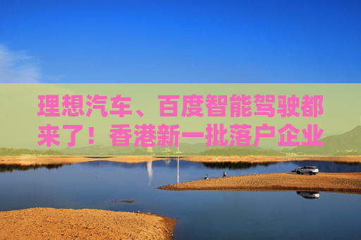 理想汽车、百度智能驾驶都来了！香港新一批落户企业“出炉”
