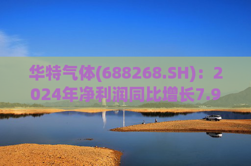 华特气体(688268.SH)：2024年净利润同比增长7.99% 拟10派6元  第1张