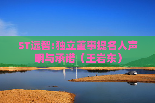 ST远智:独立董事提名人声明与承诺（王岩东）