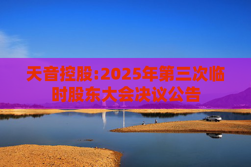 天音控股:2025年第三次临时股东大会决议公告