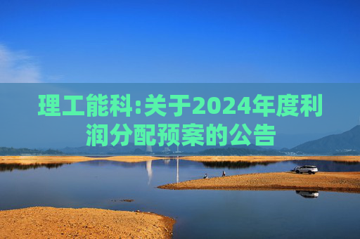 理工能科:关于2024年度利润分配预案的公告