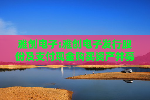 雅创电子:雅创电子发行股份及支付现金购买资产并募集配套资金报告书（草案）摘要