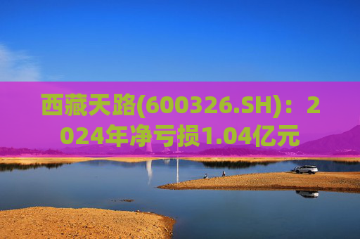 西藏天路(600326.SH)：2024年净亏损1.04亿元