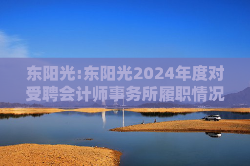 东阳光:东阳光2024年度对受聘会计师事务所履职情况的评估报告
