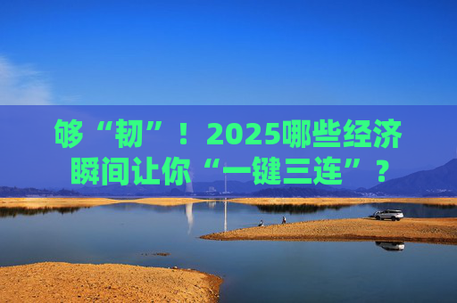 够“韧”！2025哪些经济瞬间让你“一键三连”？