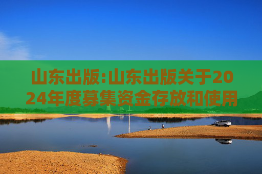 山东出版:山东出版关于2024年度募集资金存放和使用情况专项报告的公告  第1张