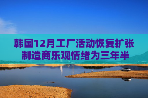韩国12月工厂活动恢复扩张 制造商乐观情绪为三年半最高
