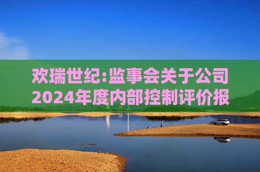 欢瑞世纪:监事会关于公司2024年度内部控制评价报告的意见