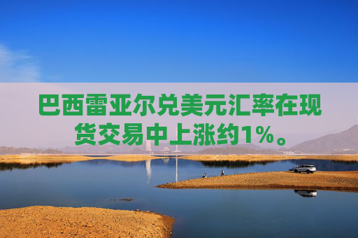 巴西雷亚尔兑美元汇率在现货交易中上涨约1%。