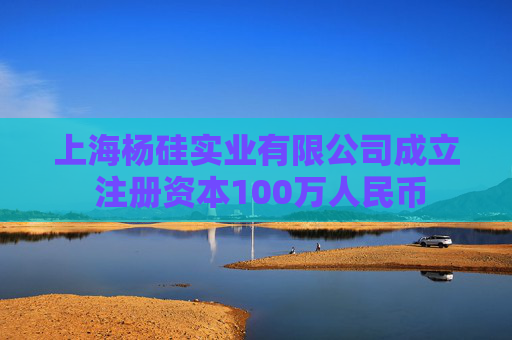 上海杨硅实业有限公司成立 注册资本100万人民币