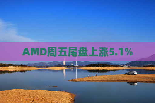 AMD周五尾盘上涨5.1%