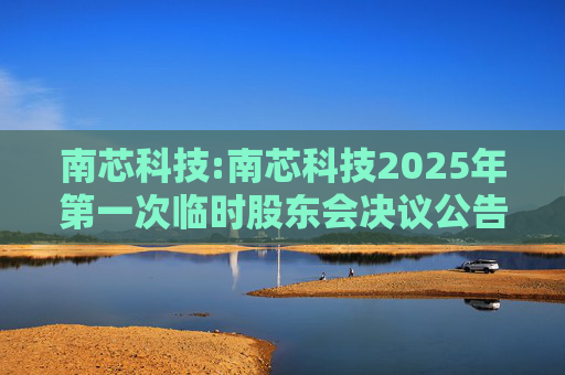 南芯科技:南芯科技2025年第一次临时股东会决议公告