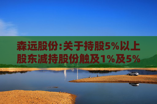森远股份:关于持股5%以上股东减持股份触及1%及5%整数倍暨披露简式权益变动报告书的提示性公告