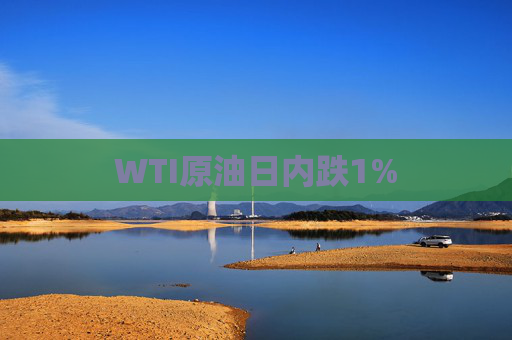 WTI原油日内跌1%
