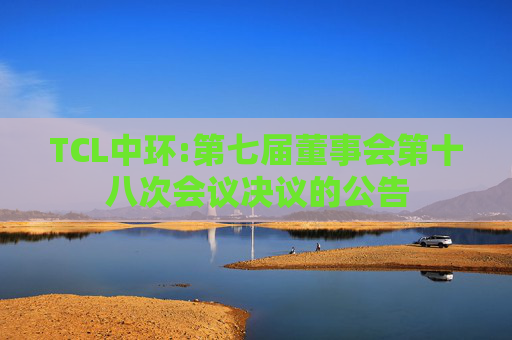 TCL中环:第七届董事会第十八次会议决议的公告