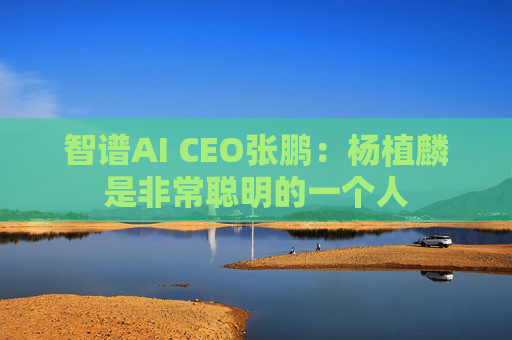 智谱AI CEO张鹏：杨植麟是非常聪明的一个人