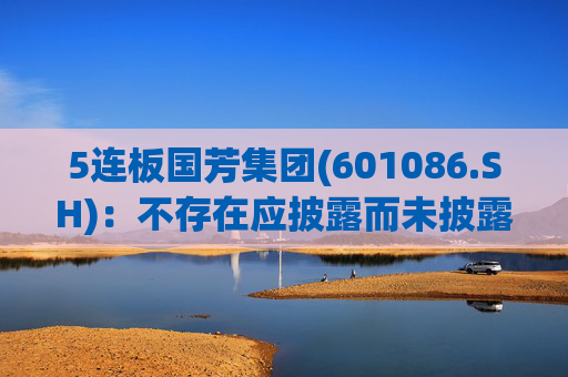 5连板国芳集团(601086.SH)：不存在应披露而未披露的重大信息