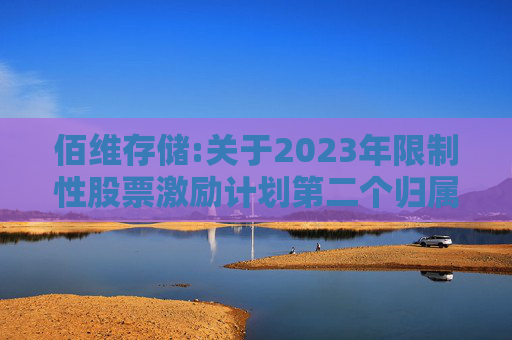 佰维存储:关于2023年限制性股票激励计划第二个归属期（第二批次）、2024年限制性股票激励计划首次授予第一个归属期（第二批次）归属结果暨股份上市的公告