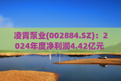 凌霄泵业(002884.SZ)：2024年度净利润4.42亿元 拟10派10元