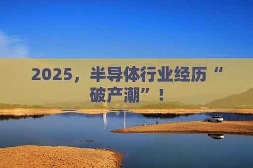 2025，半导体行业经历“破产潮”！