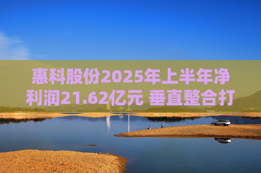 惠科股份2025年上半年净利润21.62亿元 垂直整合打造显示产业全链条优势  第1张