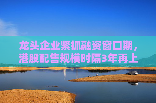 龙头企业紧抓融资窗口期，港股配售规模时隔3年再上千亿港元  第1张