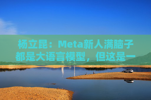 杨立昆：Meta新人满脑子都是大语言模型，但这是一条死胡同  第1张