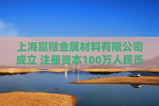 上海赢锴金属材料有限公司成立 注册资本100万人民币