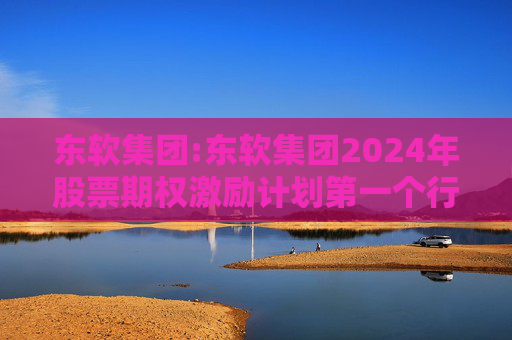 东软集团:东软集团2024年股票期权激励计划第一个行权期2025年第四季度自主行权结果暨股份变动的公告