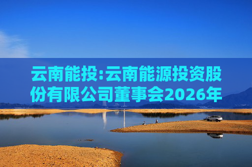 云南能投:云南能源投资股份有限公司董事会2026年第一次临时会议决议公告