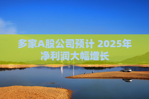 多家A股公司预计 2025年净利润大幅增长